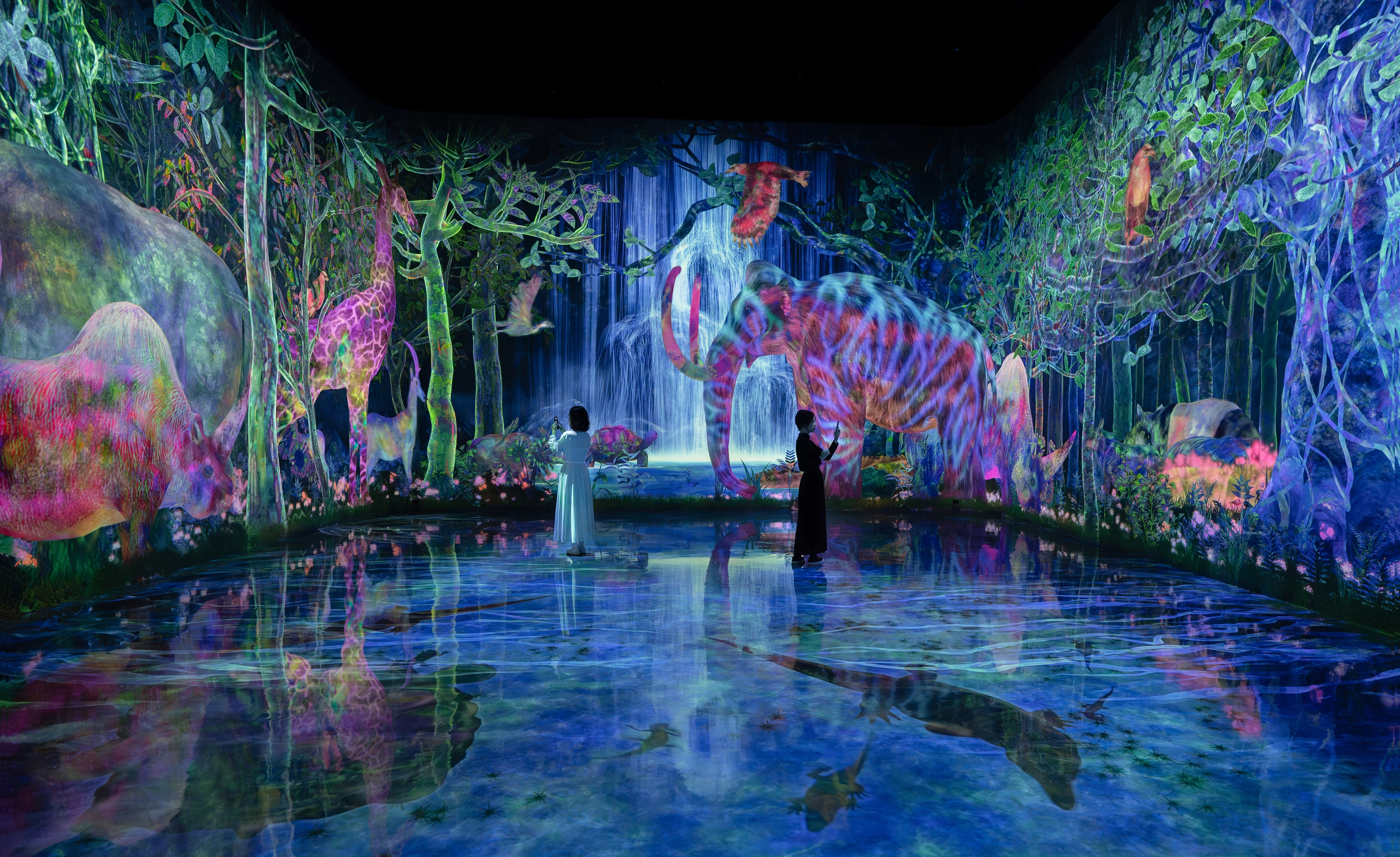 Tokio: teamLab Planets TOKYO Digital Art Museum Ticket