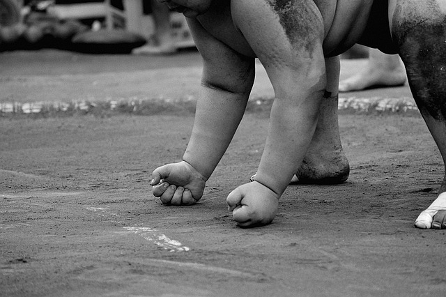 Tokio: Experiencia de sumo con espectáculo en directo y desafío con el público